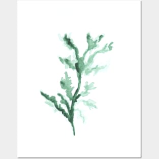 Watercolor green branch, plant, summer and nature, art decoration, sketch. Illustration hand drawn modern Posters and Art